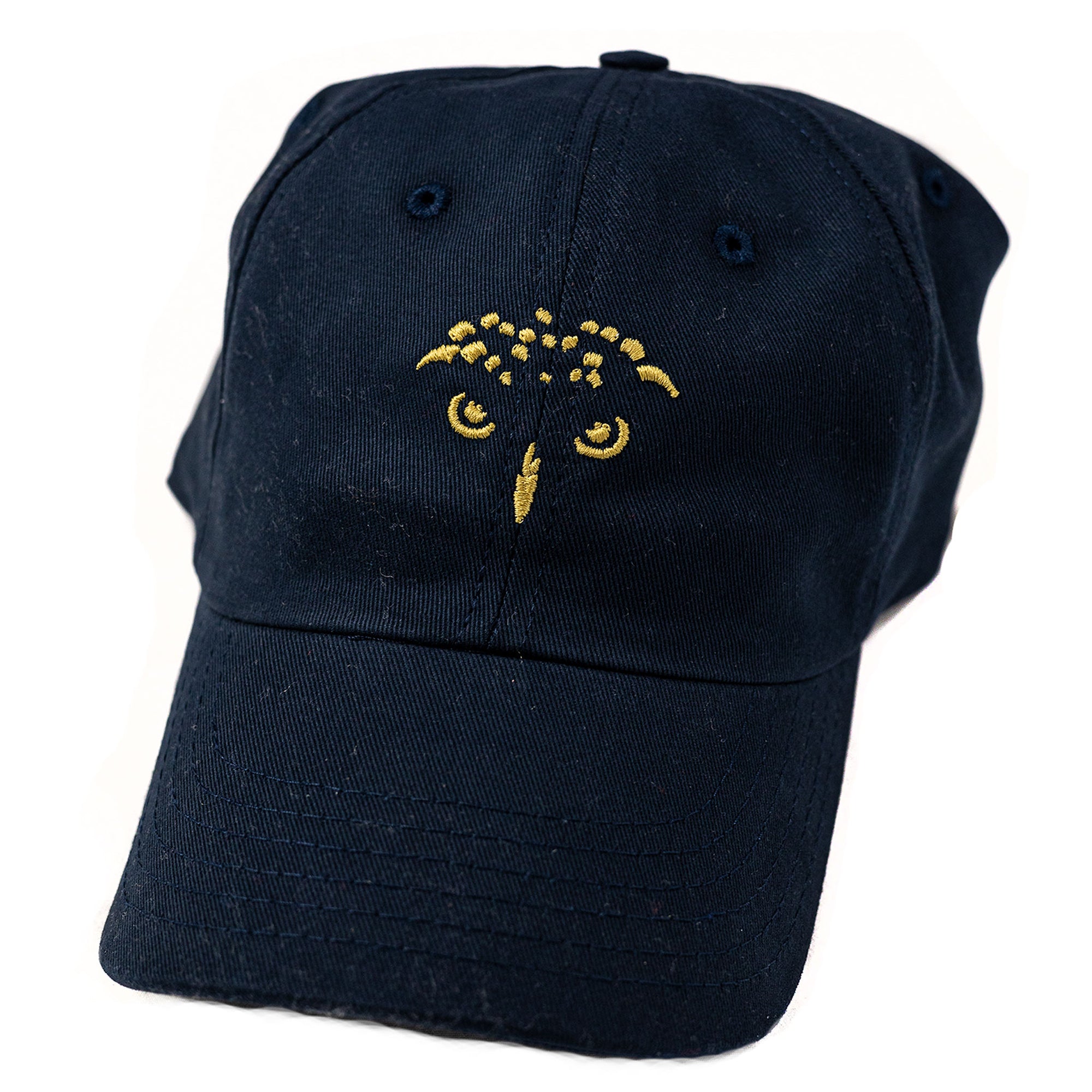 Conservation Cap™ (Navy)