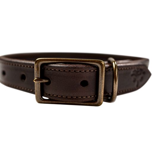 Wilderness Collar (Cigar Brown)