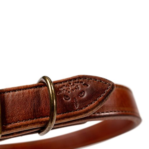 Wilderness Collar (Whiskey Brown)