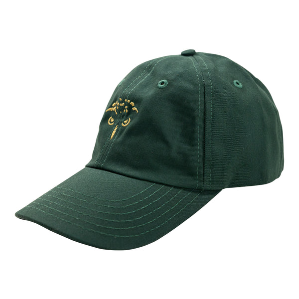 Conservation Cap (Green)