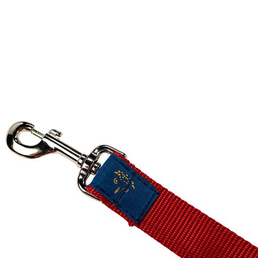 Moose River Leash 4'