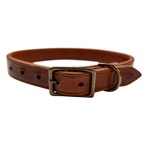 Wilderness Collar (Whiskey Brown)