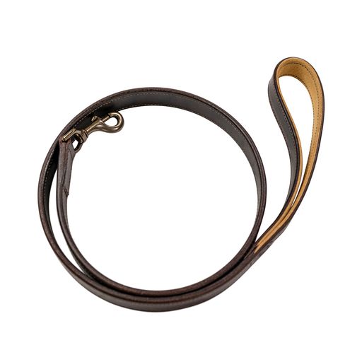 Wilderness Leash (Cigar Brown)