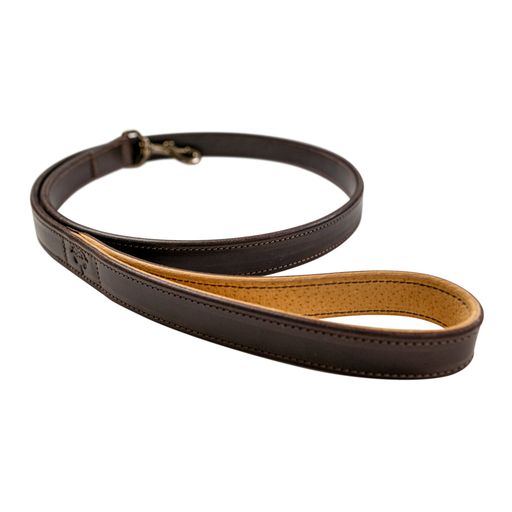 Wilderness Leash (Cigar Brown)