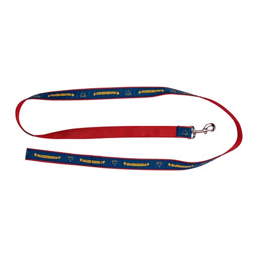 Moose River Leash 4'