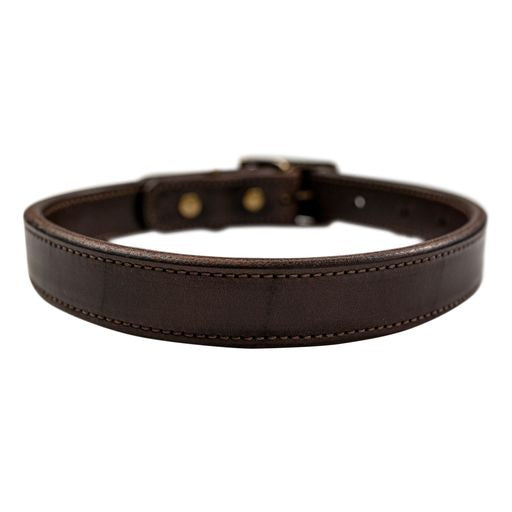 Wilderness Collar (Cigar Brown)